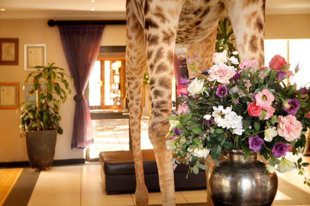Bains Lodge Bloemfontein Esterno foto